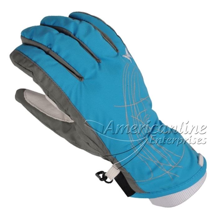 Ski Gloves