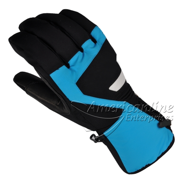 Ski Gloves